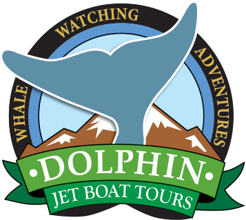 Whale Watching Jet Boat Tours